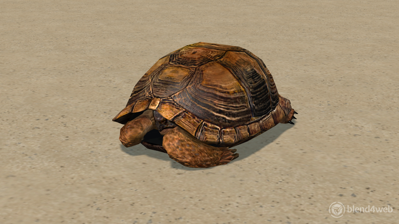 Tortoise preview 