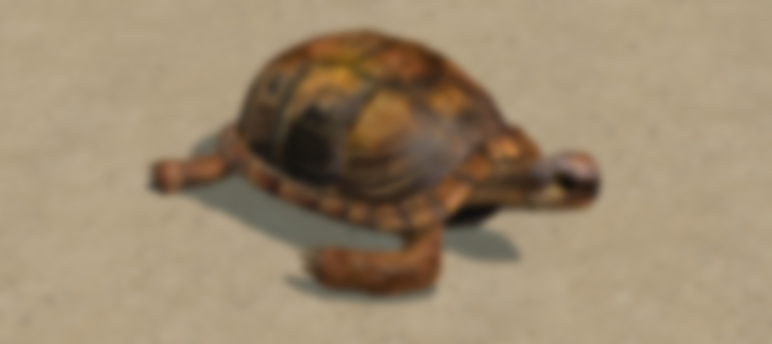 Tortoise