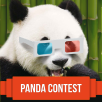 Конкурс «Панда в 3D»: итоги