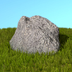 Visualizing Plants: Grass