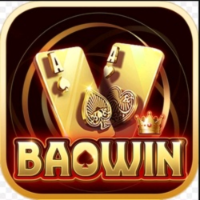 baowin1org avatar